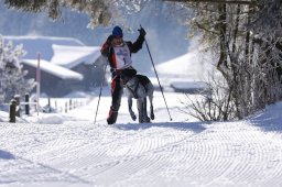 Lenk 2013